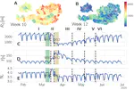 Behavioral gender differences are reinforced during the COVID-19 crisis